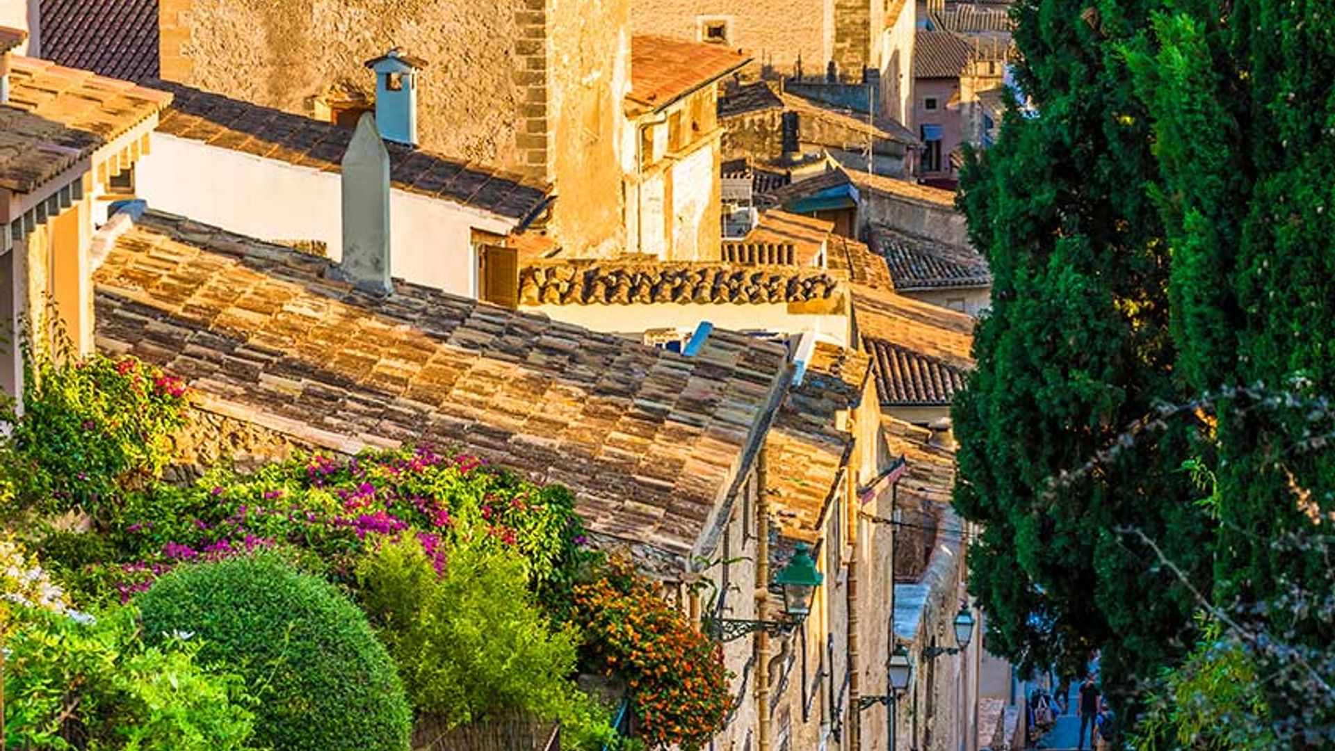 pollenca mallorca