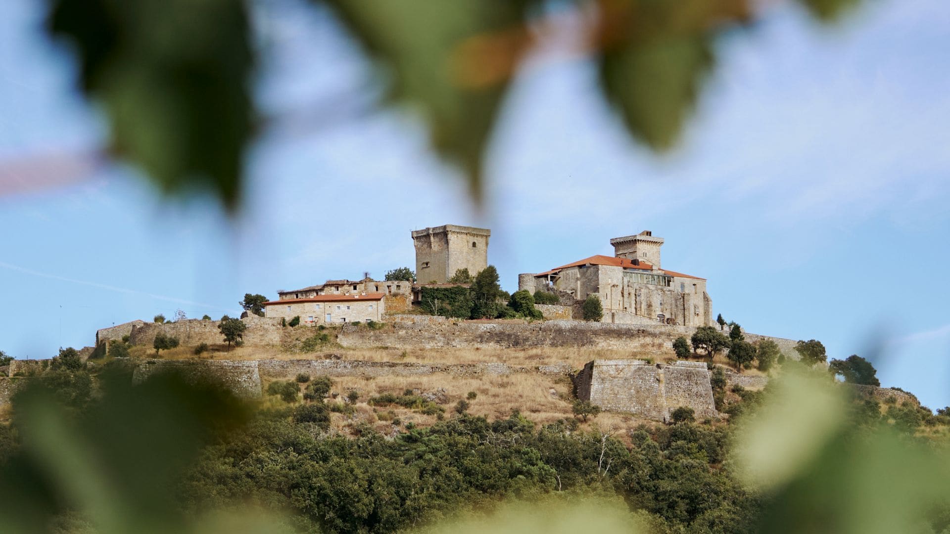 "Del vino se aprende todo eso a la vez. Te conecta con la memoria de quienes lo cultivaron antes que tú, te enseña a tener paciencia y, al mismo tiempo, a proyectar hacia adelante", afirma