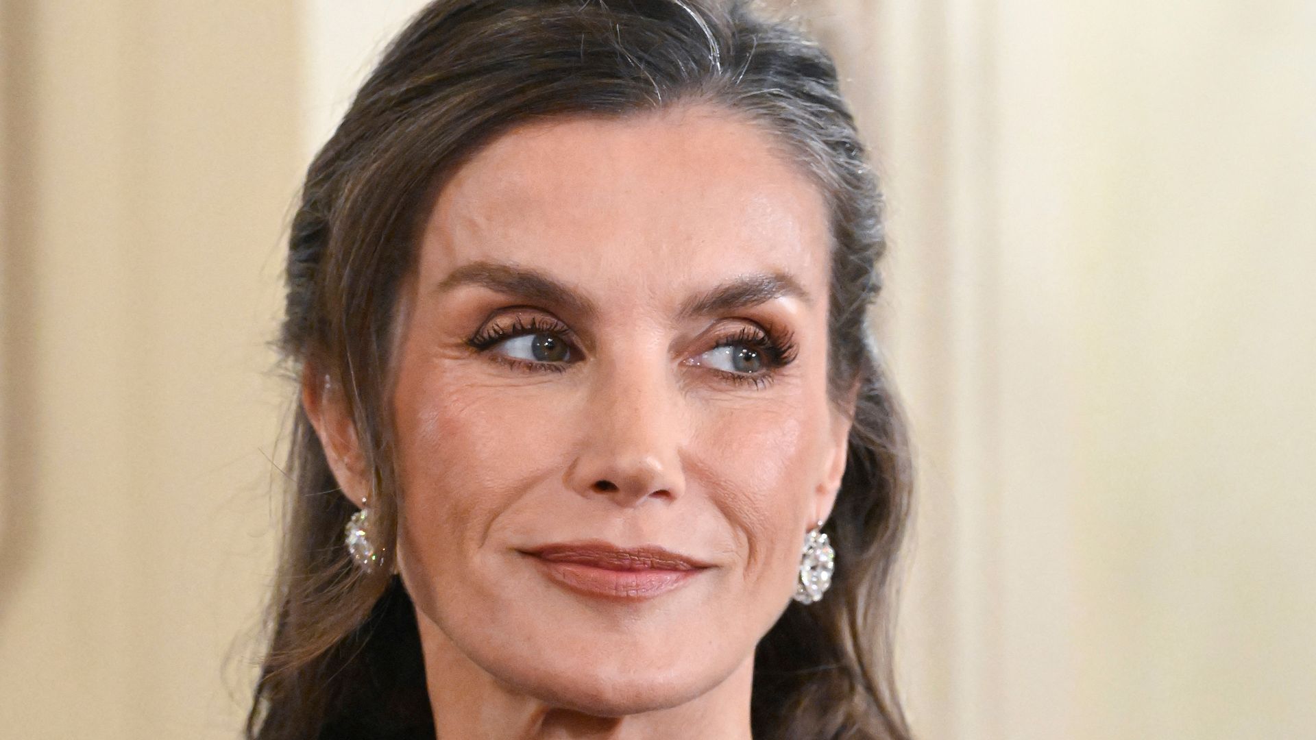 la reina letizia en finlandia con canas
