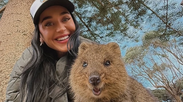 Katy Perry disfruta de Australia junto a su hija, Daisy Dove, tras perderse la boda del año 