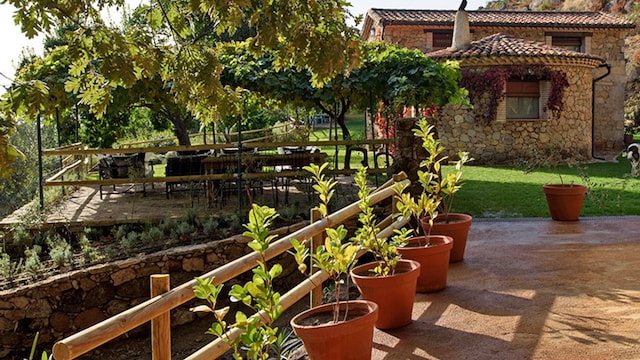 Vergel Chilla 028 Candeleda