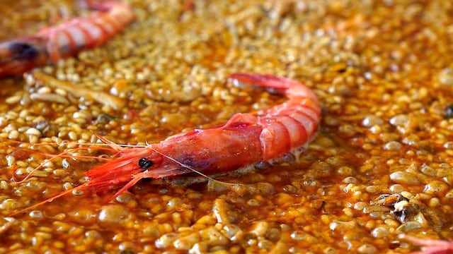 arroz fortea