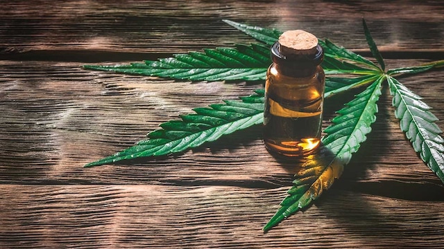 polemico aceite CBD contra dolor inflamacion