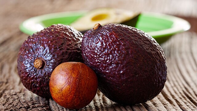 aguacates