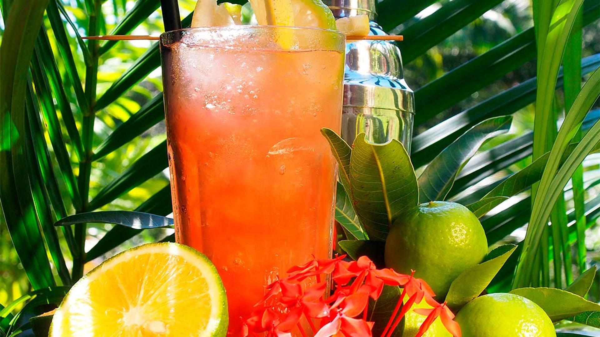 Tequila Sunrise