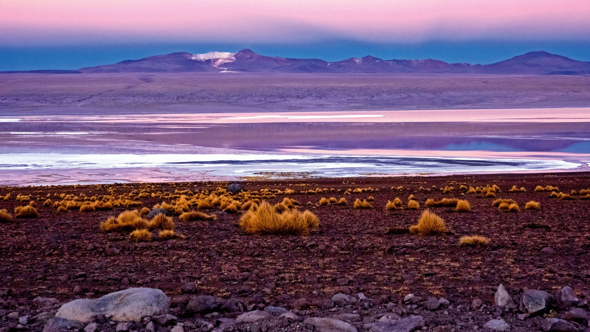Otra vista de la Laguna Colorada (Bolivia), que forma parte de la Reserva Nacional de Fauna Andina Eduardo Avaroa. Su superficie cambia de aspecto a lo largo del día por efecto de la luz y del viento, que remueve los sedimentos y transforma el paisaje en un mosaico de tonos y reflejos.