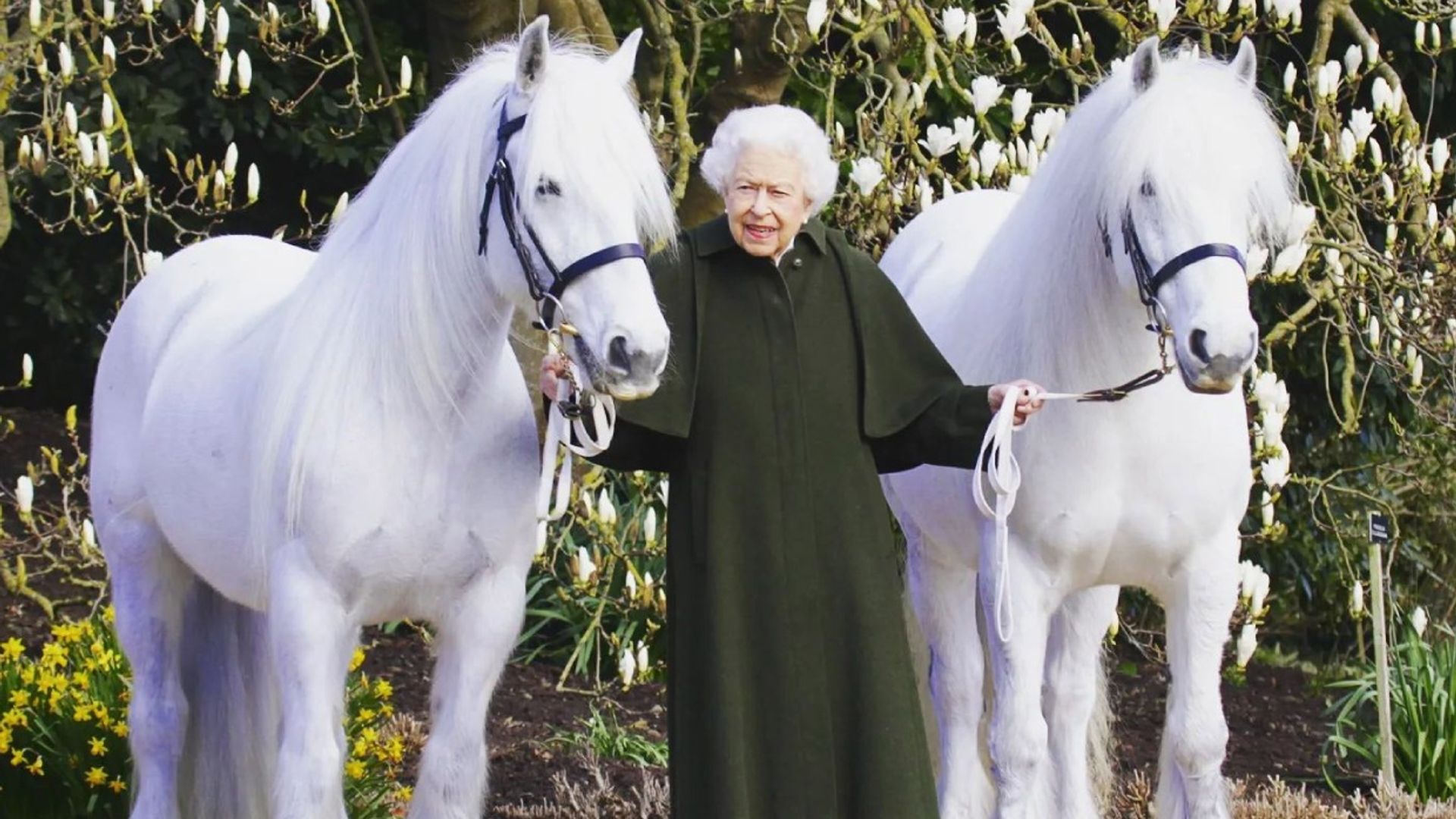 El fotógrafo de Isabel II comparte los secretos detrás de cámara del retrato del 96 cumpleaños de la Reina