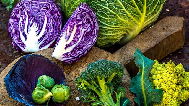 cruciferas