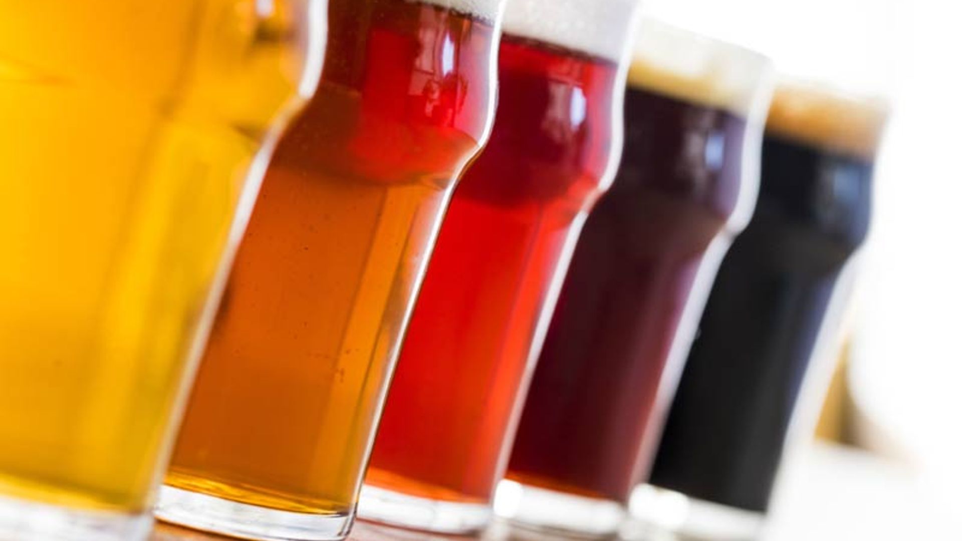 cervezas errores