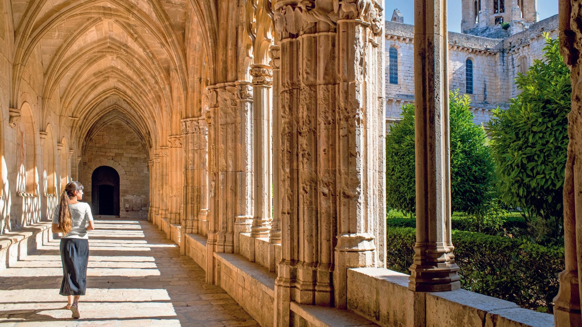 RUTA DEL CISTER por el GR 175