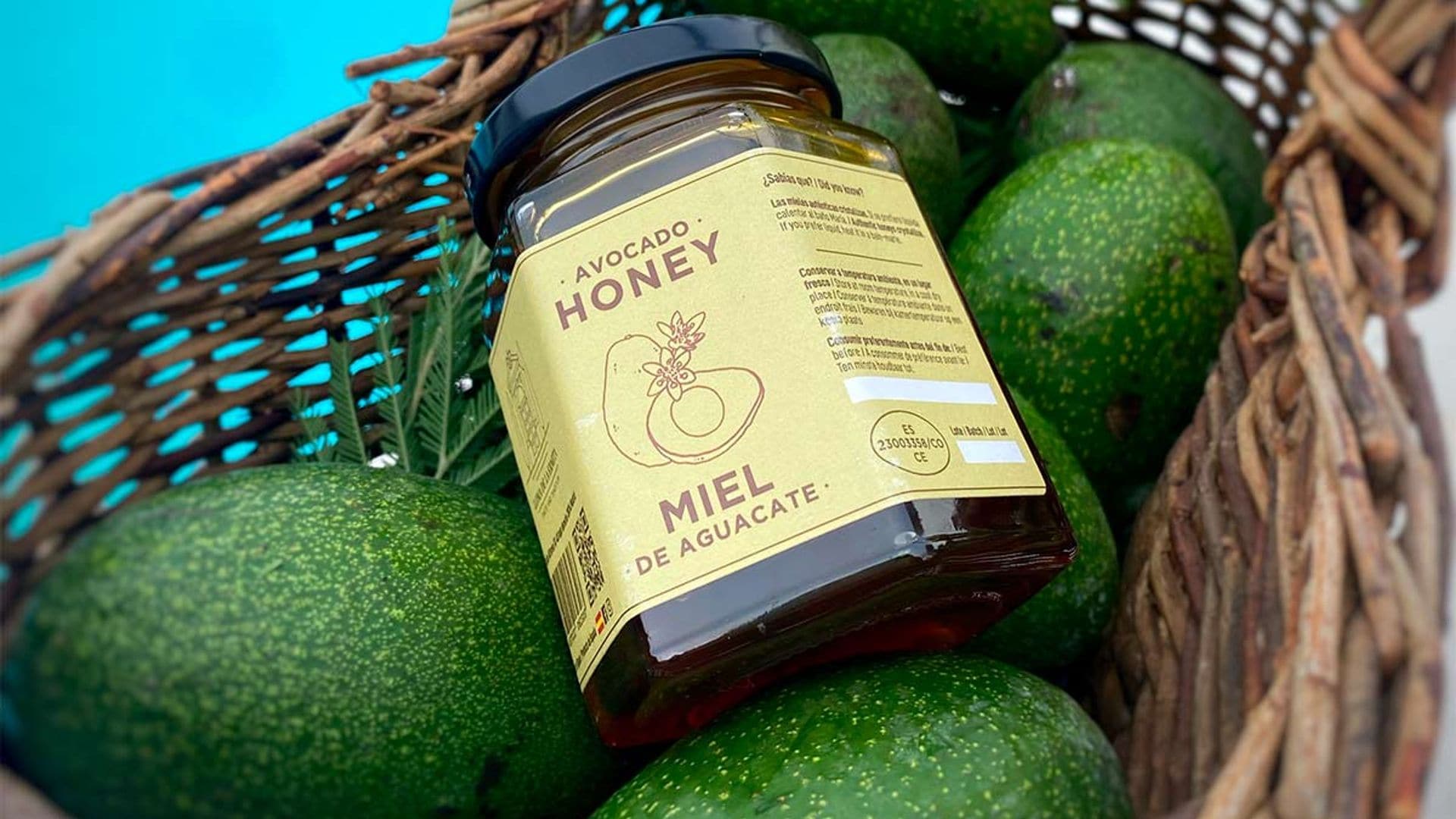 ¿Miel de aguacate y de encina? Dale un toque diferente a tus platos