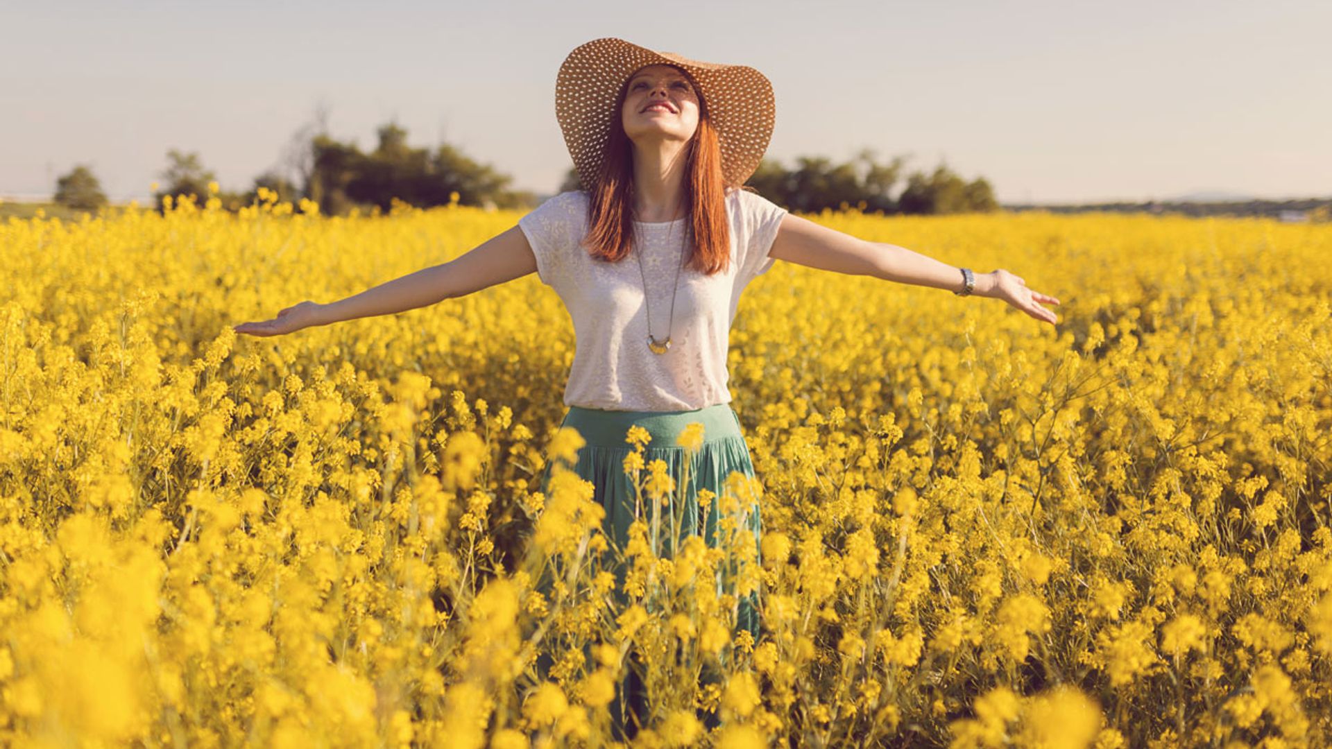 8 plantas medicinales beneficiosas para combatir la astenia primaveral