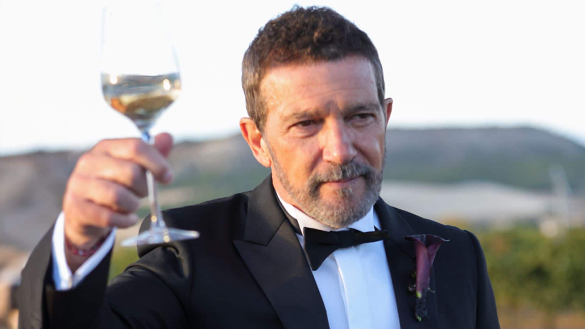 Antonio Banderas lo cuenta todo sobre la boda de su hija Stella: "¡Que me hagan abuelo!"