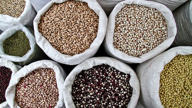recetas de alubias y variedades