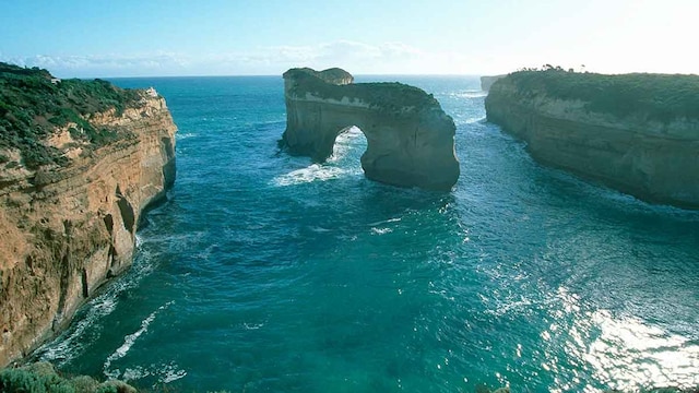 australia t