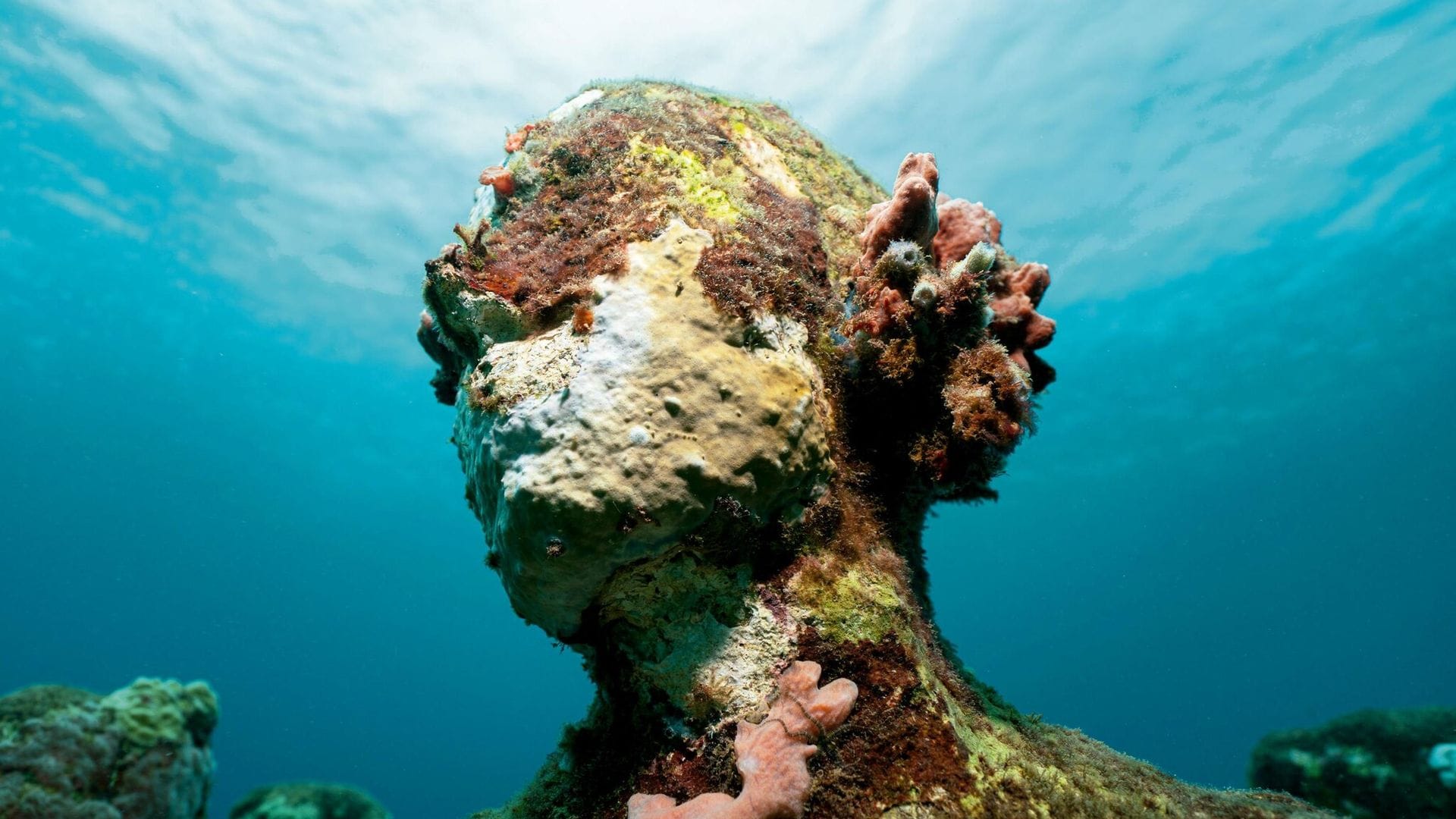 En imágenes: un museo único, repleto de obras de arte en las profundidades del mar Caribe