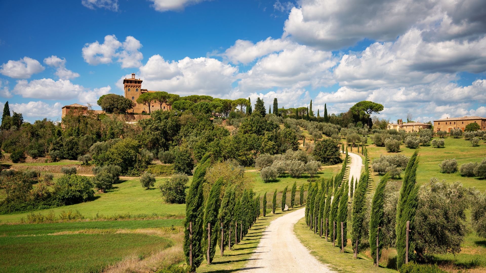 La ciudad de Pienza ofrece el típico paisaje de la Toscana con colinas onduladas y altos cipreses guiando el camino