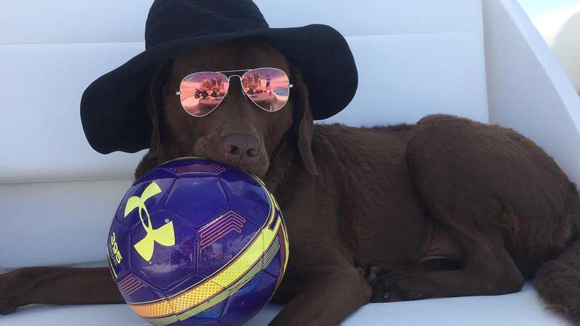 Ana Kournikova celebra un cumple muy especial... ¡y no es el de Enrique!