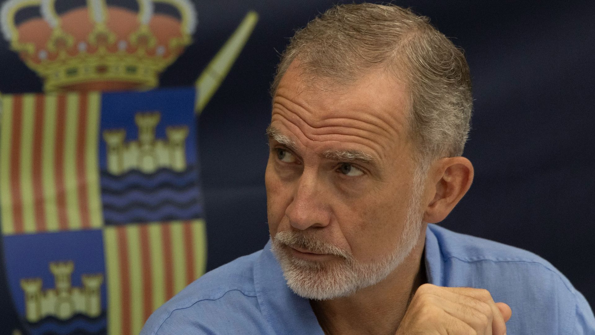 Felipe VI, consternado con los incendios en España