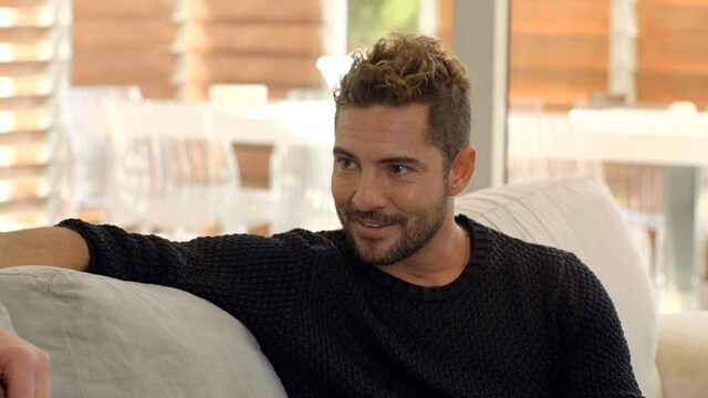 bisbal2
