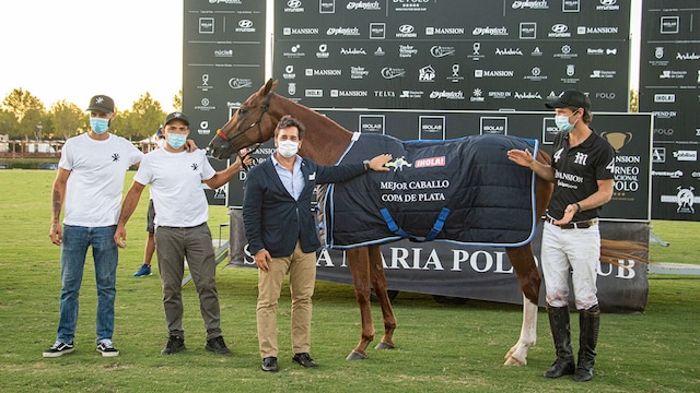 sotogrande caballo