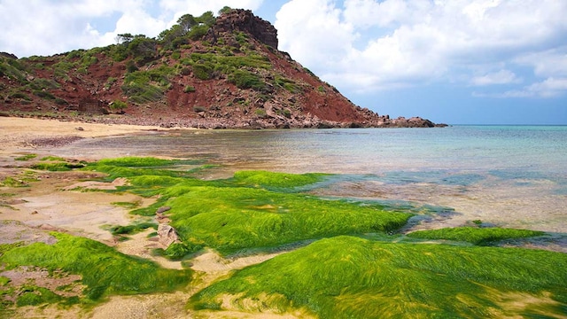 menorca plastico