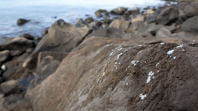 plasticrusts