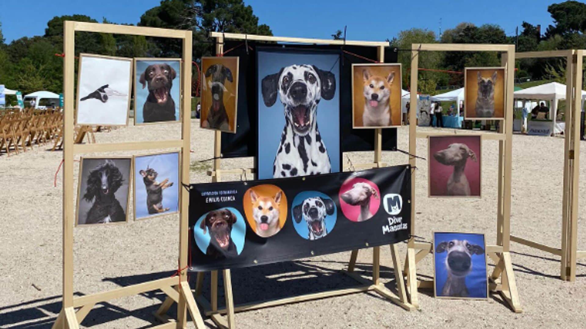 Festival de actividades al aire libre para mascotas, adultos y niños en Boadilla del Monte, Madrid. Diver Mascotas.