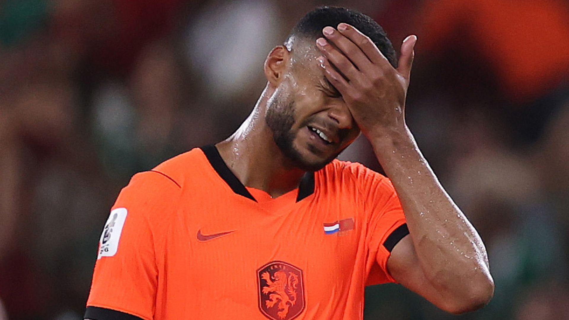 El futbolista holandés Cody Gakpo protagoniza el momento más emotivo del Mundial tras dedicar su gol a su bebé fallecido