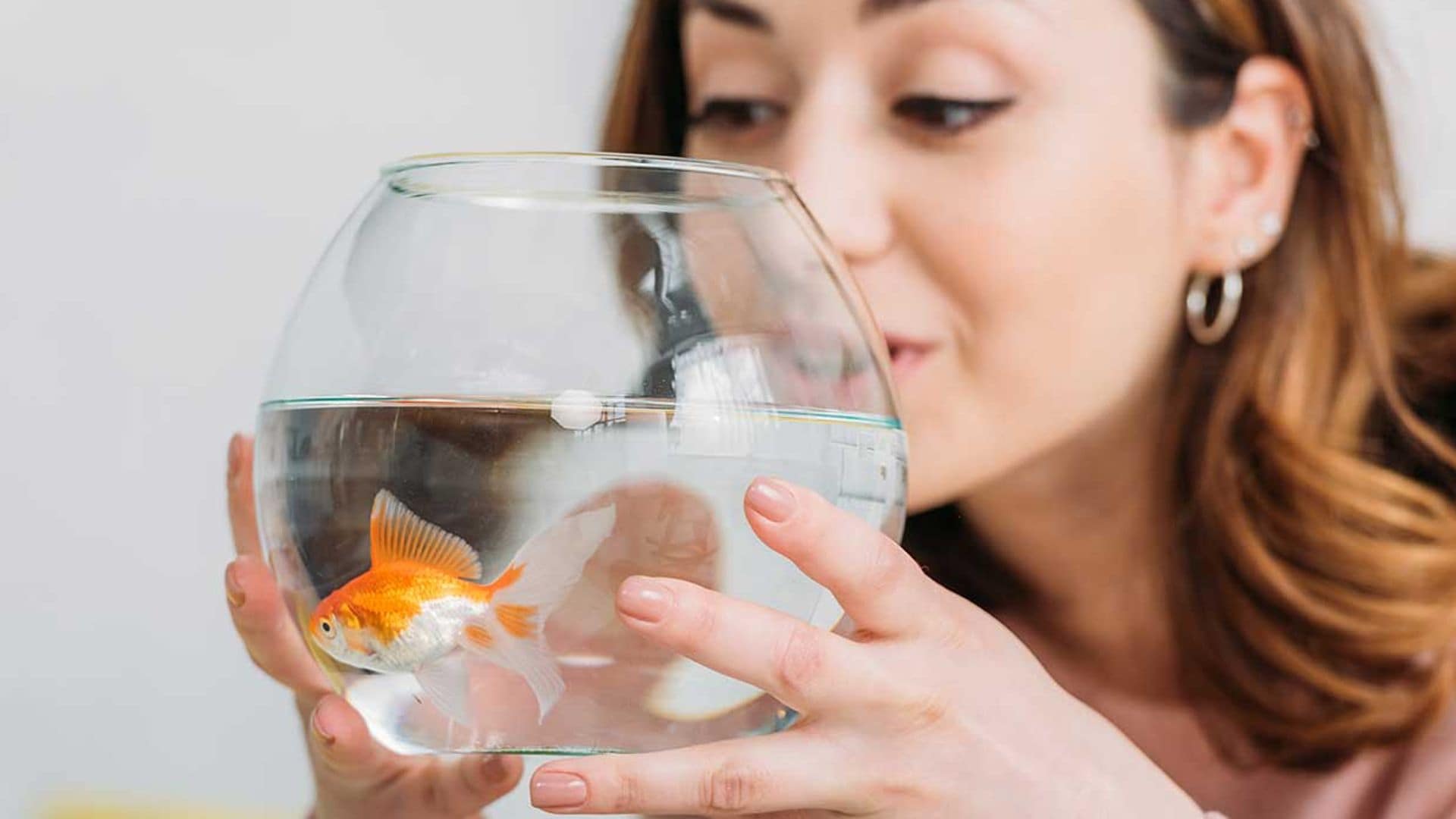 ¿Qué diferencia hay entre peces de agua dulce y de agua salada?