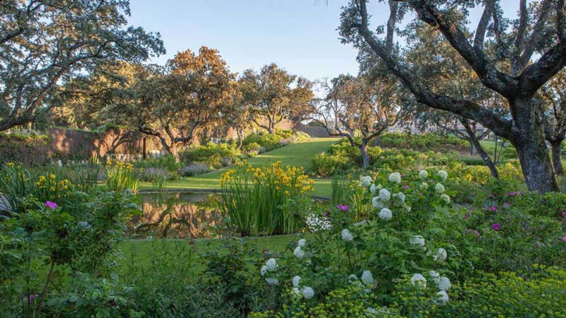 ‘Operación jardín’: cómo ponerlo en forma este verano