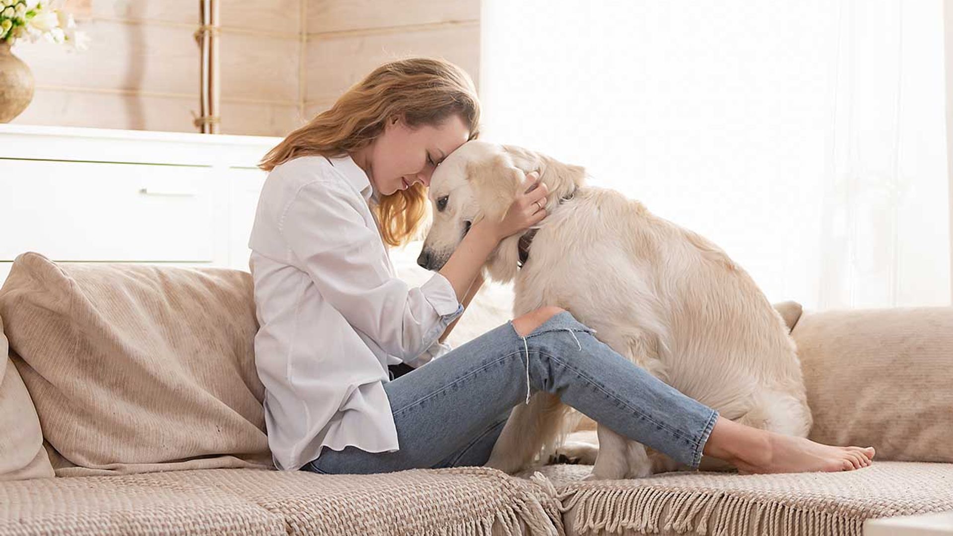 ¿Cómo hacer con las mascotas durante la cuarentena si tienes la custodia compartida?