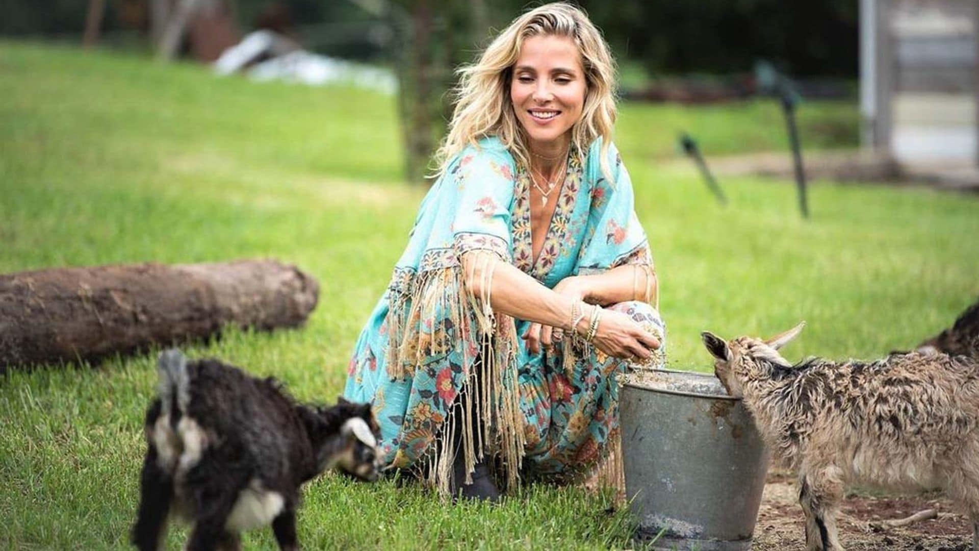 ¡Como una auténtica granjera! Así es la rutina matinal de Elsa Pataky cuidando a sus pollos y gallinas