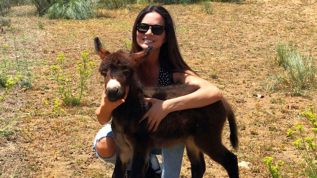 romina animales