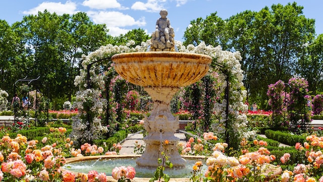 Jardín de rosas en el Parque de El Retiro de Madrid