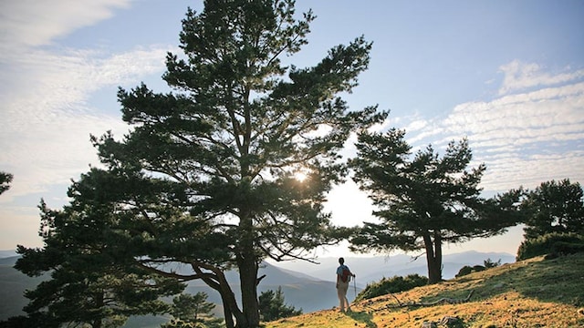 excursiones sierra cebollera