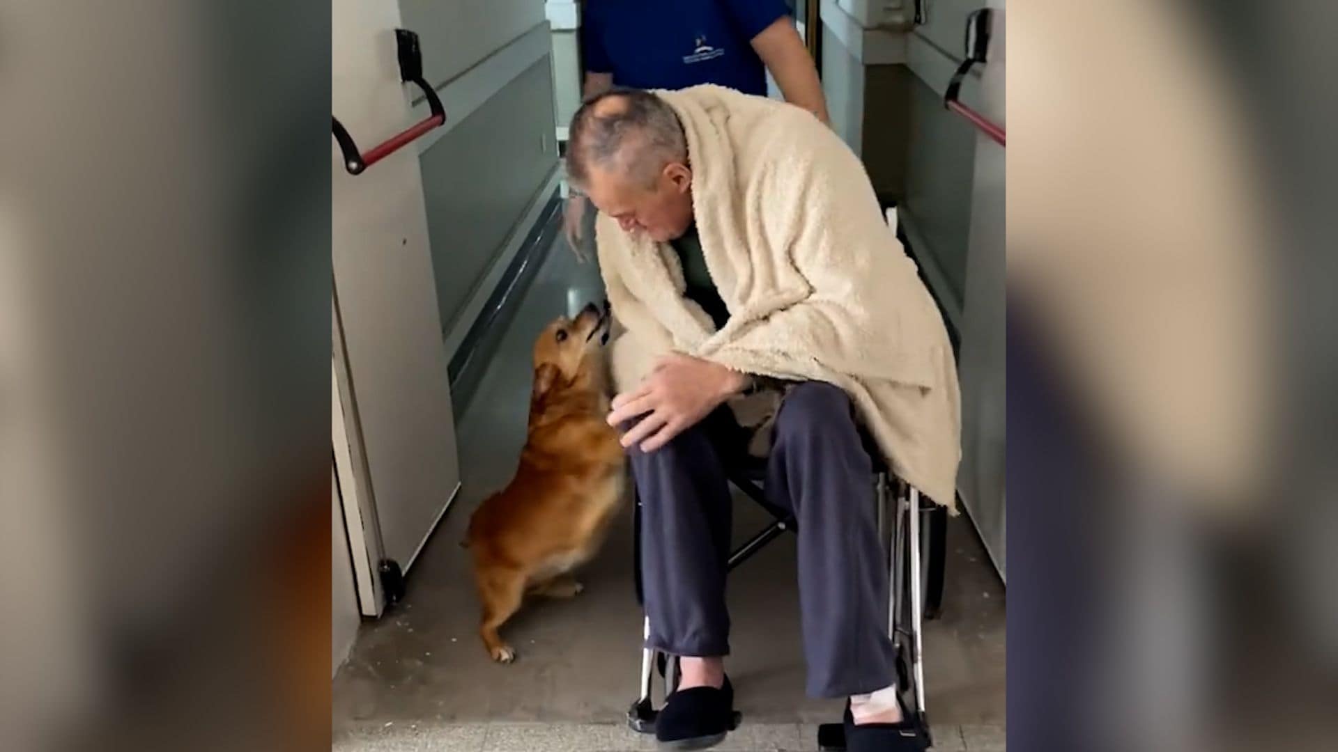El emocionante reencuentro de un hombre con su perrito tras más de dos meses ingresado en un hospital