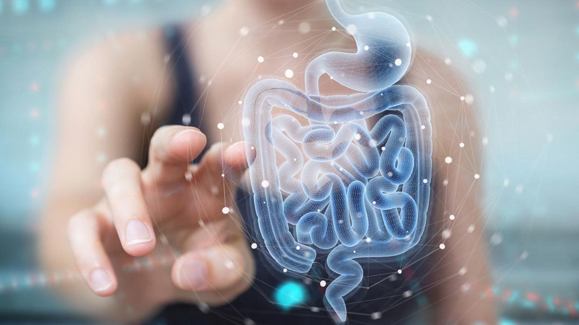 ¿Qué relación hay entre la alteración de la microbiota intestinal y la COVID persistente?