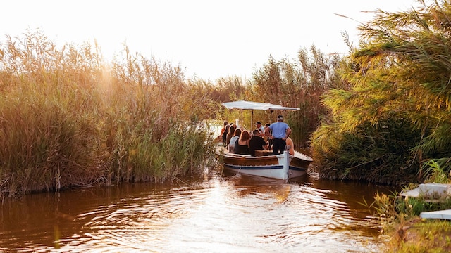 Paseo en barca por la Albufera de Valencia