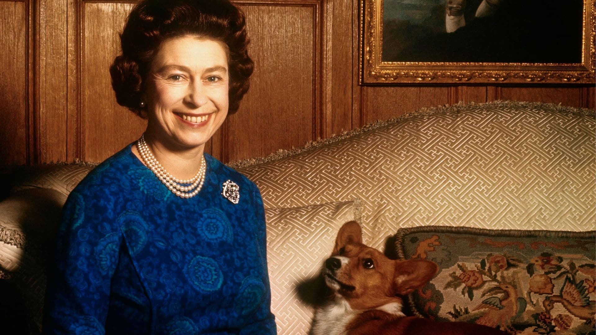 La vida de reyes de los perros de Su Majestad