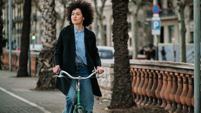 bicis plegables