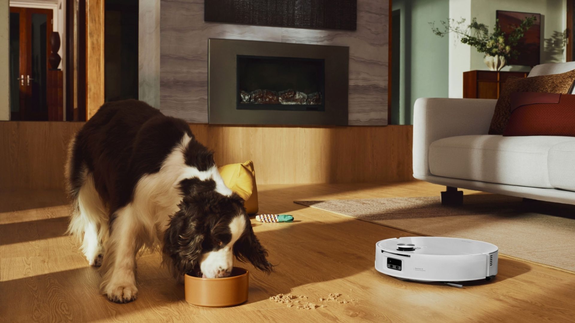 Roborock Saros 20 robot-aspirador limpiando el suelo de un salón mientras un perro come.