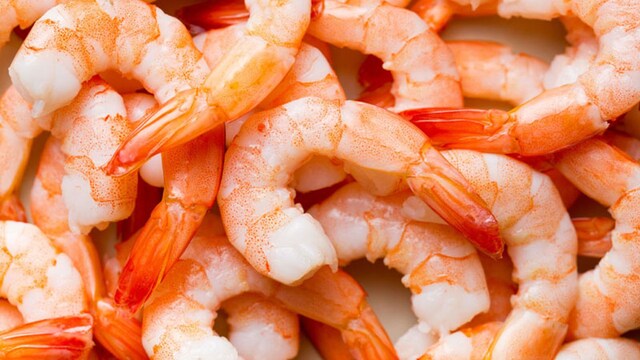 portada gambas adobe