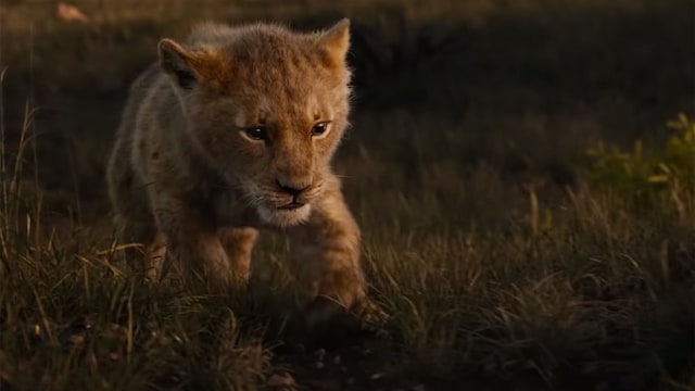 reyleon2