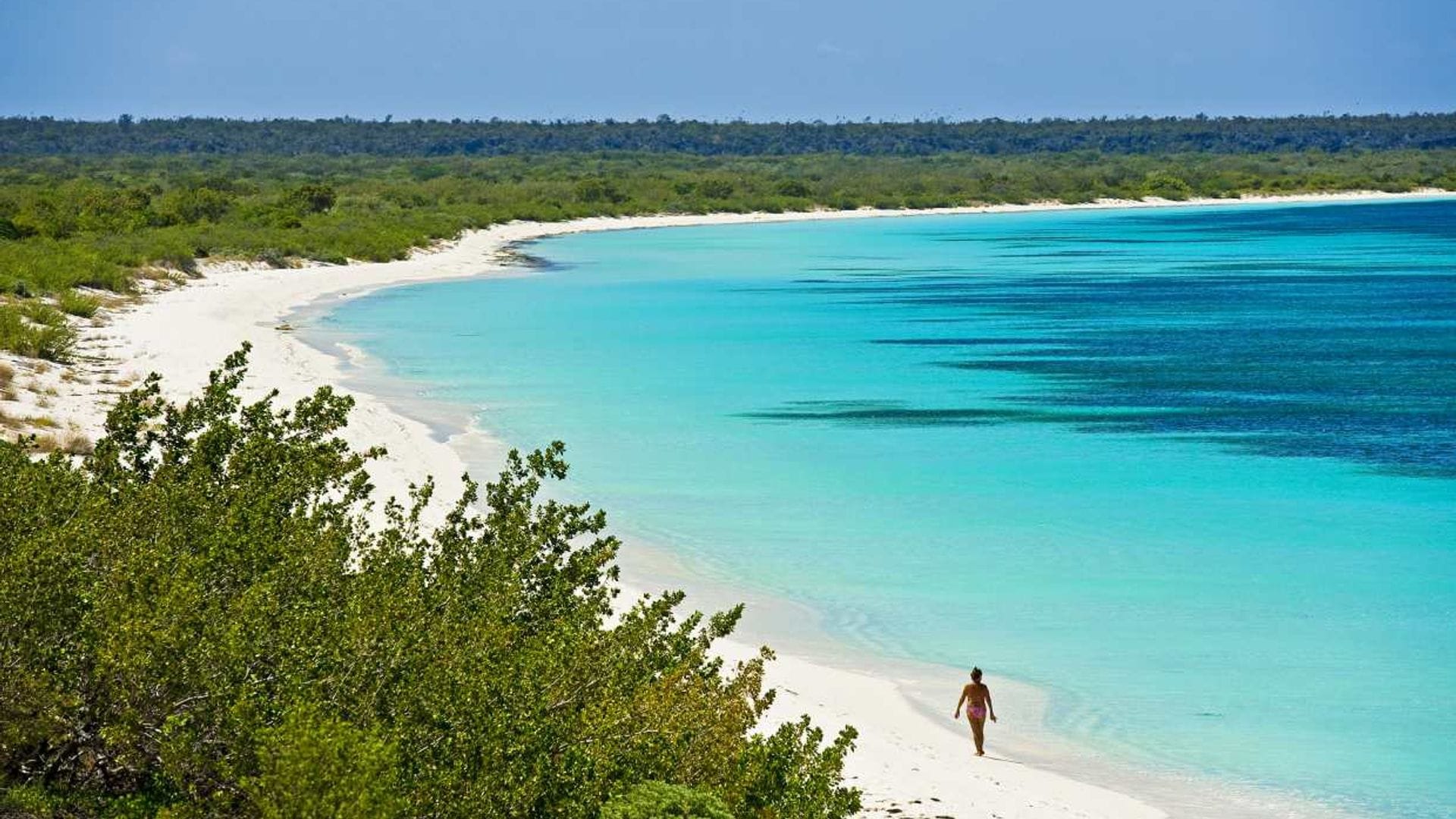 Ecoturismo en el rincón más virgen de República Dominicana