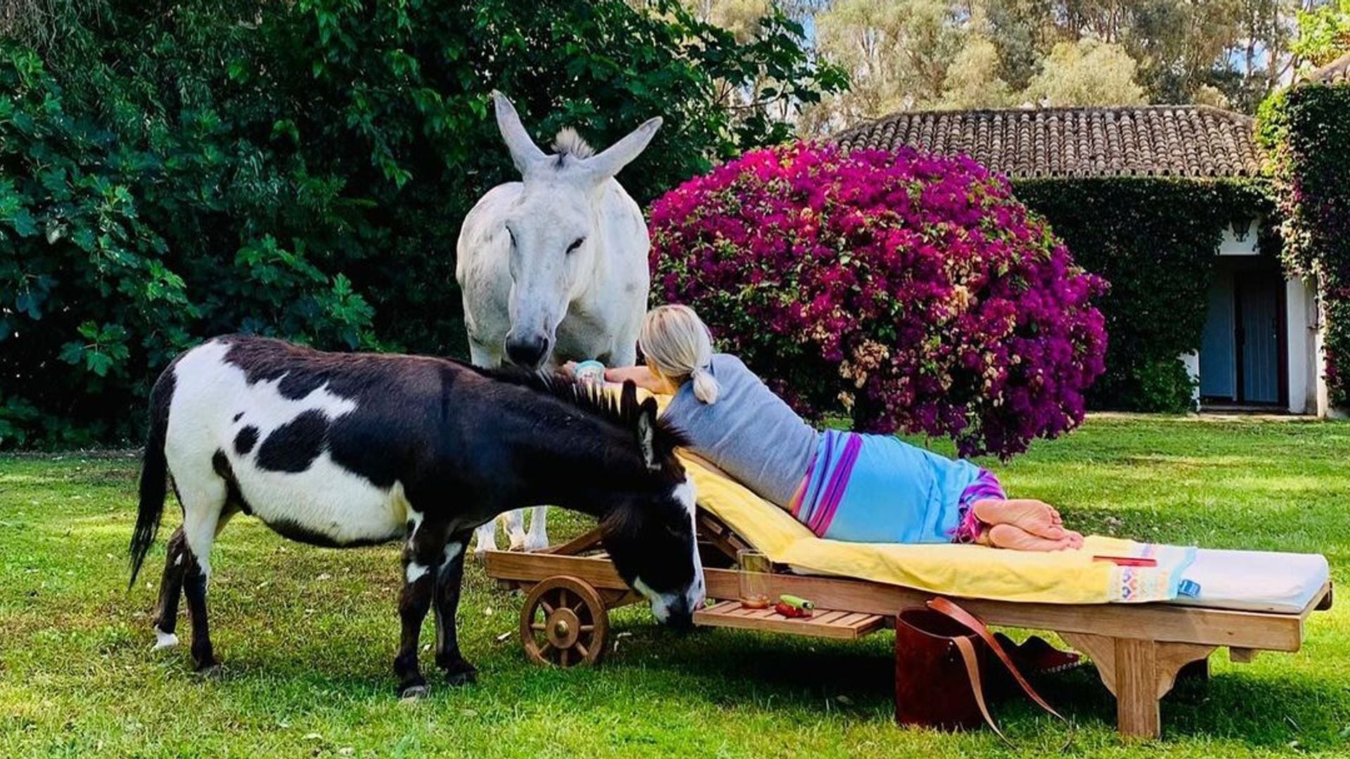 La bonita historia que esconden las fotos de Eugenia Martínez de Irujo con sus burros Benjamín y López