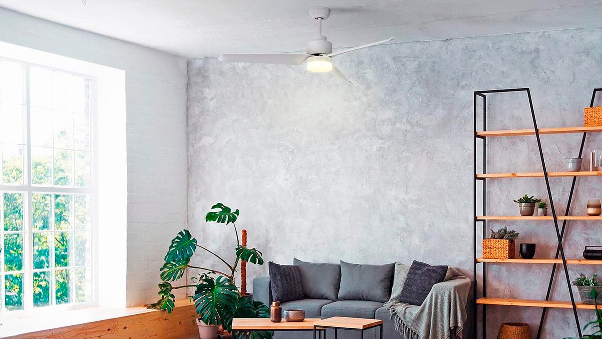 Dile adiós al calor con el ventilador de techo con luz perfecto para tu casa