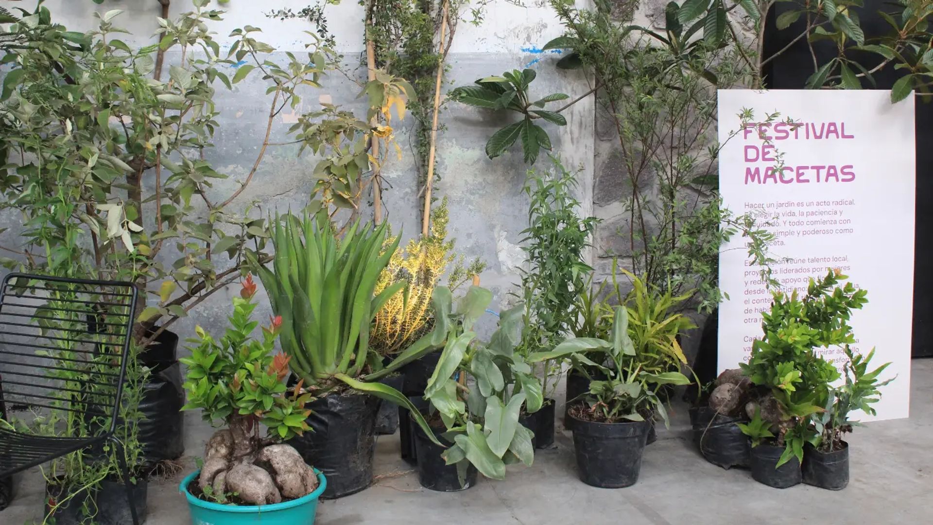 Vivero Boutique