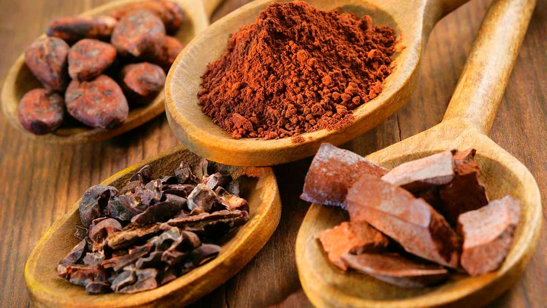 portada cacao