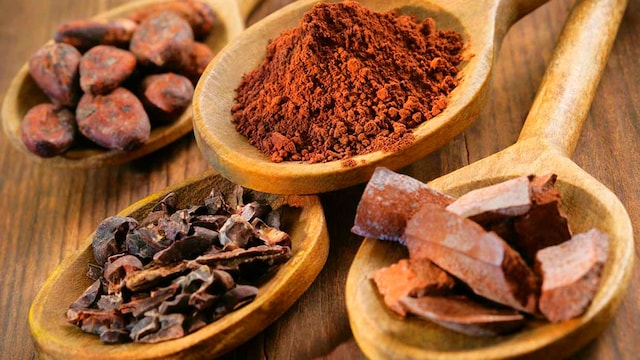 portada cacao